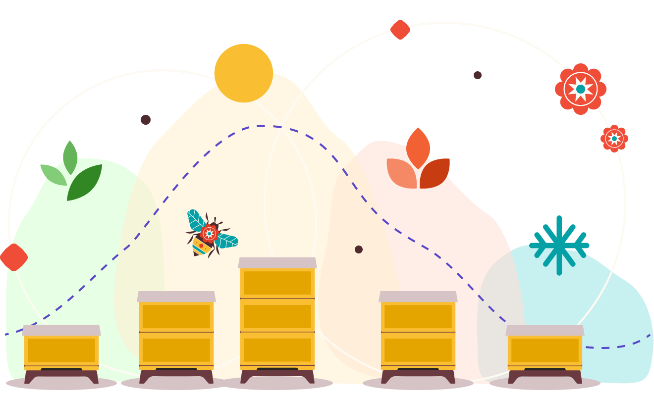 Illustration of the beehives growth through the seasons.
